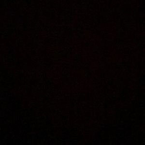 Meet your Posher, Edith